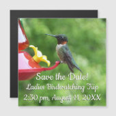 ルビーを使ったハミングバード撮影 (正面/裏面)