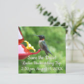 ルビーを使ったハミングバード撮影 (スタンド正面)