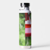 ルビーを使ったハミングバード撮影 ウォーターボトル (右面)