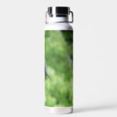 ルビーを使ったハミングバード撮影 ウォーターボトル (背面)