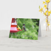 ルビーを使ったハミングバード撮影 カード (黄色い花)