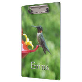 ルビーを使ったハミングバード撮影 クリップボード (左)