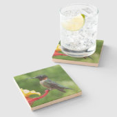 ルビーを使ったハミングバード撮影 ストーンコースター (横)