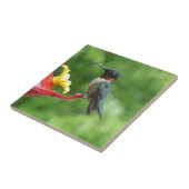 ルビーを使ったハミングバード撮影 タイル (側面)