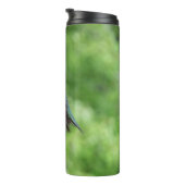 ルビーを使ったハミングバード撮影 タンブラー (回転右)