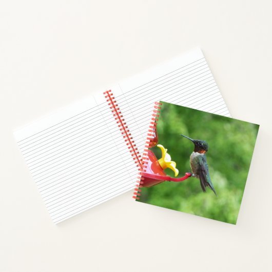 ルビーを使ったハミングバード撮影 ノートブック (内部)