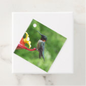 ルビーを使ったハミングバード撮影 フェイバータグ (インサイチュ)