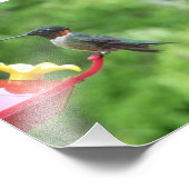 ルビーを使ったハミングバード撮影 フォトプリント            (角)