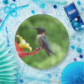 ルビーを使ったハミングバード撮影 ペーパープレート (パーティー)