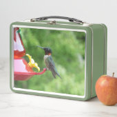 ルビーを使ったハミングバード撮影 メタルランチボックス (インサイチュ)