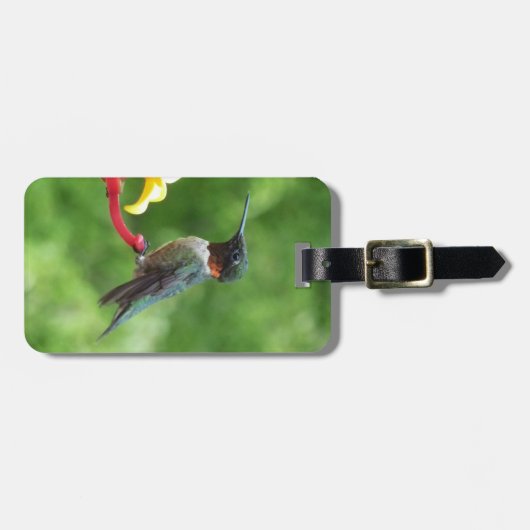 ルビーを使ったハミングバード撮影 ラゲッジタグ (正面横)