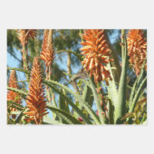 ルビーを使ったハミングバード撮影 ラッピングペーパーシート (正面3)