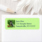 ルビーを使ったハミングバード撮影 ラベル (インサイチュ)