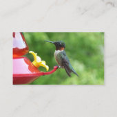 ルビーを使ったハミングバード撮影 名刺 (裏面)