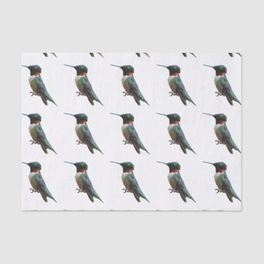 ルビーを使ったハミングバード撮影 薄葉紙 (正面)