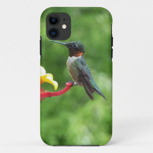 ルビーを使ったハミングバード撮影 iPhone 11 ケース