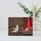 ルビーを使ったハミングバード ポストカード (スタンド正面)