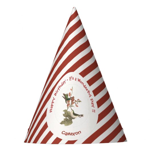 ルビーを使ったハミングバード、誕生日またはその他のパーティー パーティーハット (正面)