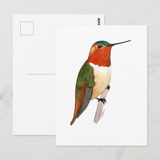 ルビーインコハズク ポストカード (正面/裏面)