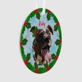 ルビーオーナメント オーナメント (正面)