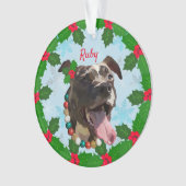 ルビーオーナメント オーナメント (正面)