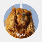 ルビーカバリヤキングチャールズスパニエル犬パピードグブルー メタルオーナメント (裏面)