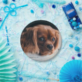 ルビーカヴァリエキングチャールズスパニエル犬ドッグ ペーパープレート (パーティー)