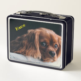 ルビーカヴァリエキングチャールズスパニエル犬ドッグ メタルランチボックス