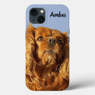 ルビーカヴァリエキングチャールズスパニエル犬パピードッグブルー iPhone 13ケース