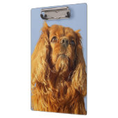 ルビーキャバリエキングチャールズスパニエル犬ドッグクリップボード クリップボード (左)