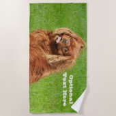 ルビーキャリバリーキングチャールズスパニエル犬ドッグ ビーチタオル (正面)