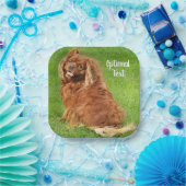 ルビーキャリバリーキングチャールズスパニエル犬ドッグ ペーパープレート (パーティー)