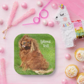 ルビーキャリバリーキングチャールズスパニエル犬ドッグ ペーパープレート (パーティー)