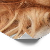 ルビーキャリバリーキングチャールズスパニエル犬ドッグ ポスター (角)