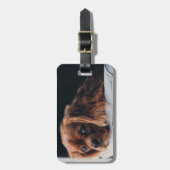 ルビーキャリバリーキングチャールズスパニエル犬ドッグ ラゲッジタグ (正面縦)