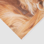 ルビーキャリバリーキングチャールズスパニエル犬 薄葉紙 (詳細)