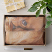 ルビーキャリバリーキングチャールズスパニエル犬 薄葉紙 (ギフト)