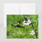 ルビースロートハミングバードハッピーバースデーはがき ポストカード (正面/裏面)