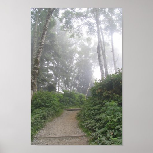 ルビービーチ，太平洋岸 – WA ポスター (正面)