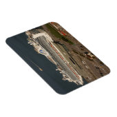 ルビープリンセスクルーズ, SFマグネット マグネット (右側)