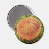 ルビーボレットきのこ磁石 マグネット (正面/裏面)