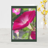 ルビーレッドの朝顔のブランクカード カード (黄色い花)