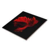 ルビーレッドシャム戦闘魚 タイル (側面)