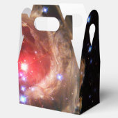 ルビーレッドスーパージャイアントスターダスト フェイバーボックス (オープン)