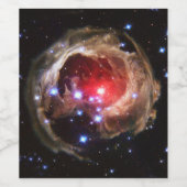 ルビーレッドスーパージャイアントスターダスト ワインラベル (シングルラベル)