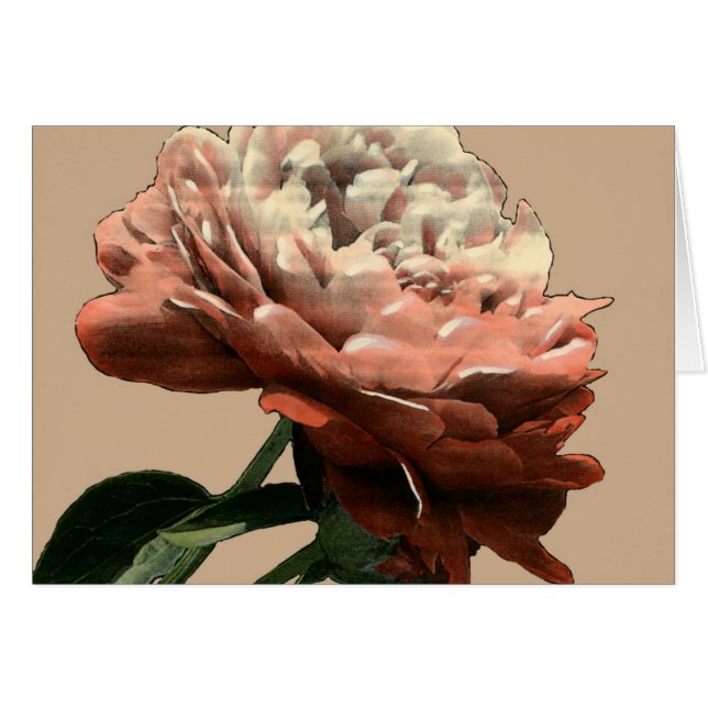 ルビーレッドローズホワイトアクセント (正面横)