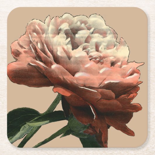 ルビーレッドローズホワイトアクセント スクエアペーパーコースター (正面)
