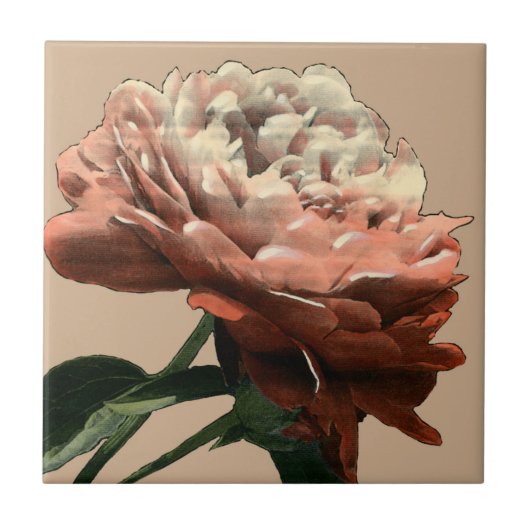 ルビーレッドローズホワイトアクセント タイル (正面)