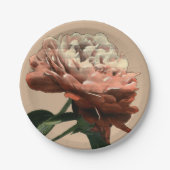 ルビーレッドローズホワイトアクセント ペーパープレート (正面)