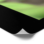 ルビーレッド《植物》百日草 ポスター (角)